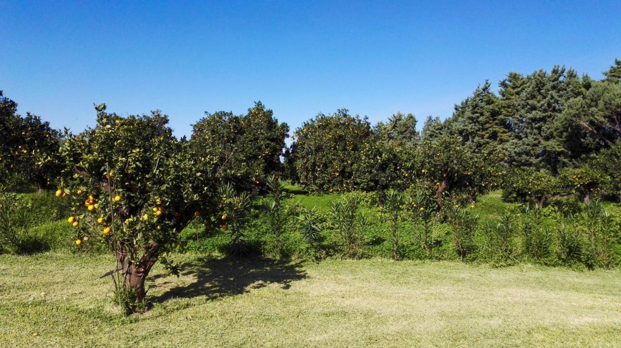 Apartment Tenuta San Calogero Salvia Agnone Bagni