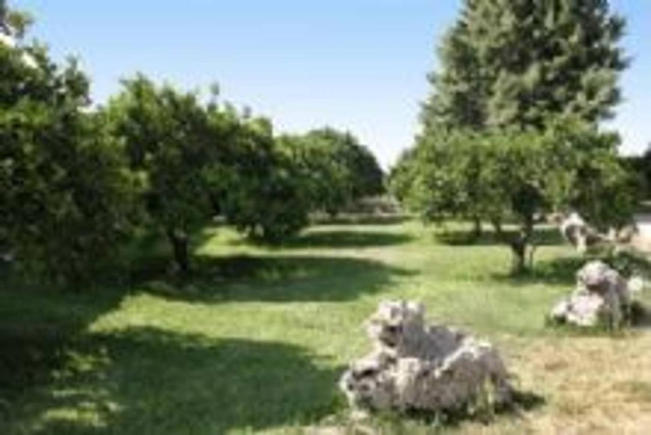 Tenuta San Calogero Salvia