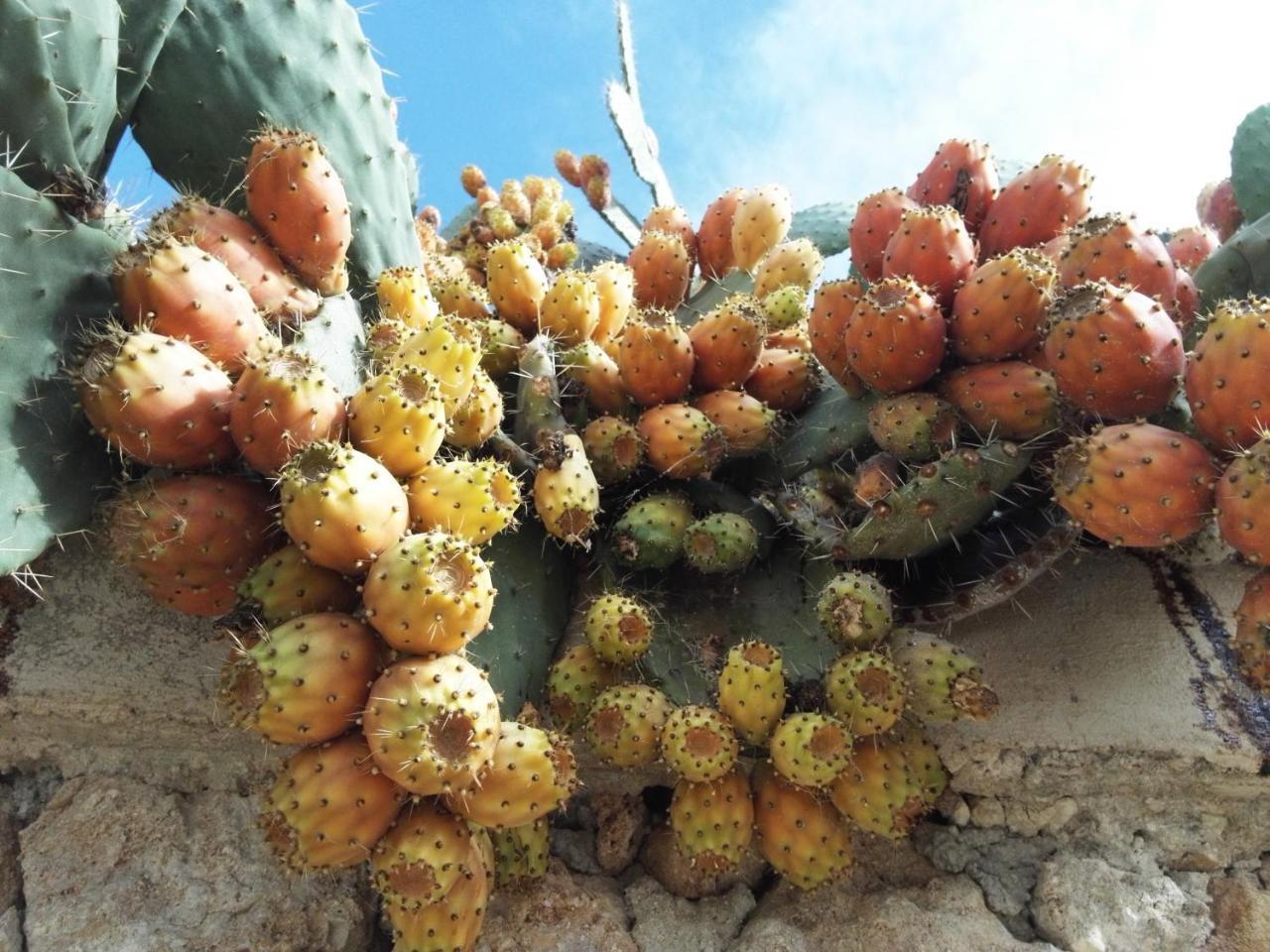 Tenuta San Calogero Salvia Apartamento